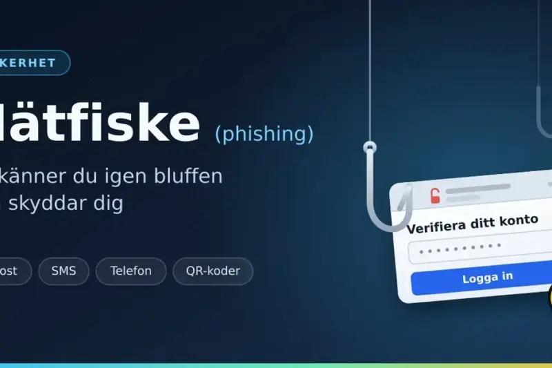 Illustration av nätfiske: en fiskekrok har hakat fast en falsk inloggningsruta med texten "Verifiera ditt konto" och en gul varningssymbol, bredvid rubriken "Nätfiske (phishing)".
