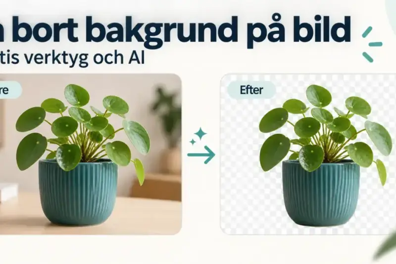 En krukväxt visas före och efter AI-baserad bakgrundsborttagning, med ett rutmönster som illustrerar genomskinlig bakgrund i den frilagda bilden.